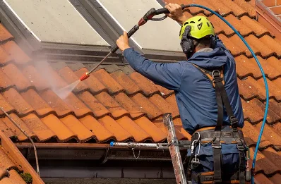 Démoussage et hydrofuge de toiture à Blausasc